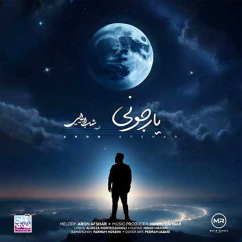 کاور آهنگ یار جونی از آرون افشار