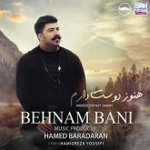 کاور آهنگ هنوز دوست دارم از بهنام بانی
