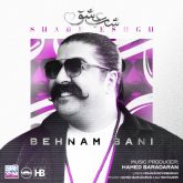کاور آهنگ شب عشق از بهنام بانی