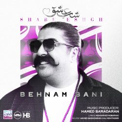 کاور آهنگ شب عشق از بهنام بانی