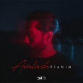 کاور آهنگ اولاش از حامیم