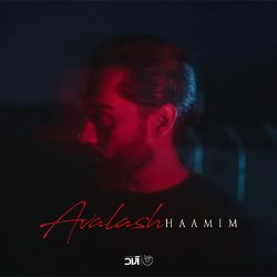 کاور آهنگ اولاش از حامیم