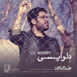 کاور آهنگ دلواپسی از حامد همایون
