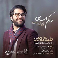کاور آهنگ حاکم احساس از حامد همایون