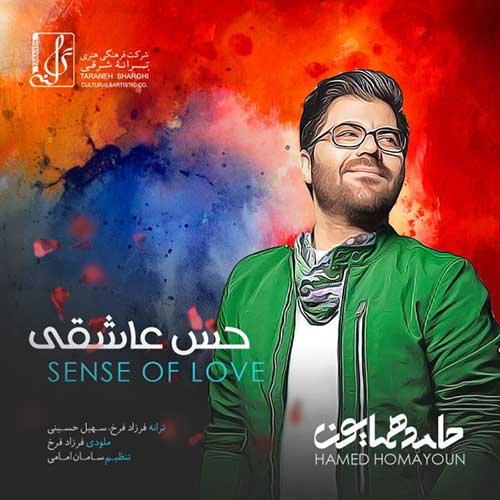 کاور آهنگ حس عاشقی از حامد همایون