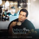 کاور آهنگ دلبر ناب منی از امید جهان