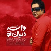 کاور آهنگ واسه دیدن تو از امید جهان