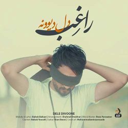 کاور آهنگ دل دیوونه از راغب