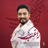 کاور آهنگ دیوانگی از راغب
