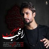 کاور آهنگ گره گشا از راغب