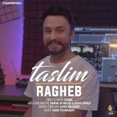 کاور آهنگ تسلیم از راغب