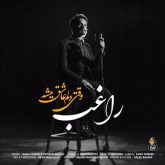 کاور آهنگ وقتی دلم عاشق میشه از راغب