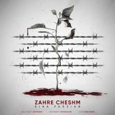 کاور آهنگ زهر چشم از سینا پارسیان