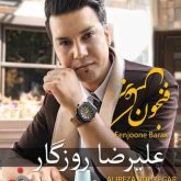 کاور آلبوم فنجون برعکس از علیرضا روزگار