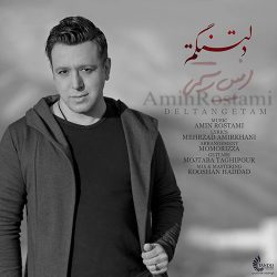 کاور آهنگ دلتنگتم از امین رستمی