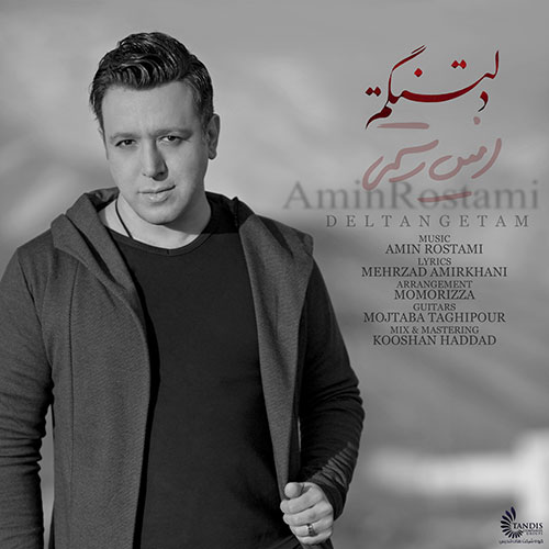 کاور آهنگ دلتنگتم از امین رستمی