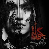 کاور آهنگ بگو بله از روزبه بمانی و دارکوب