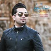 کاور آهنگ عشقم از فرزاد فرخ