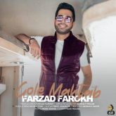 کاور آهنگ گل مهتاب از فرزاد فرخ