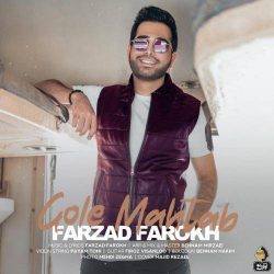 کاور آهنگ گل مهتاب از فرزاد فرخ