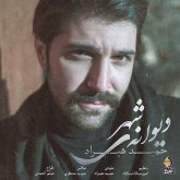 کاور آهنگ دیوانه ی شهر از حمید هیراد