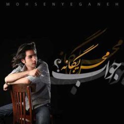 کاور آهنگ جواب از محسن یگانه