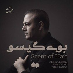 کاور آهنگ بوی گیسو از علیرضا قربانی