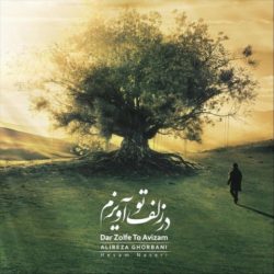 کاور آهنگ در زلف تو آویزم از علیرضا قربانی