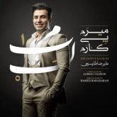 کاور آهنگ میرم پی کارم از علیرضا طلیسچی