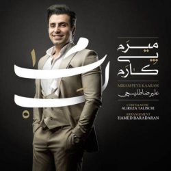 کاور آهنگ میرم پی کارم از علیرضا طلیسچی