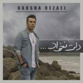 کاور آهنگ دلت نخواد از گرشا رضایی