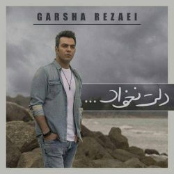 کاور آهنگ دلت نخواد از گرشا رضایی