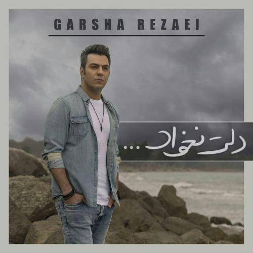 کاور آهنگ دلت نخواد از گرشا رضایی
