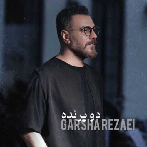 کاور آهنگ دو پرنده از گرشا رضایی