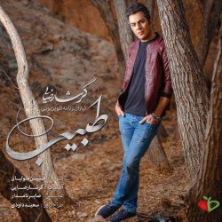 کاور آهنگ طبیب از گرشا رضایی