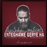 کاور آهنگ انتقام گریه ها از رضا صادقی