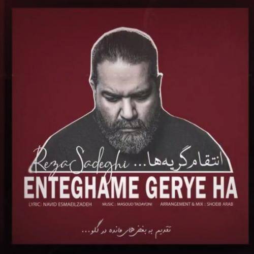 کاور آهنگ انتقام گریه ها از رضا صادقی