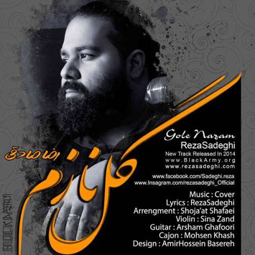 کاور آهنگ گل نازم از رضا صادقی