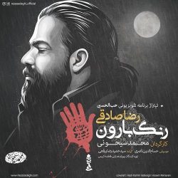 کاور آهنگ رنگ بارون از رضا صادقی