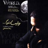 کاور آهنگ وایسا دنیا از رضا صادقی