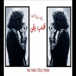 کاور آهنگ قلب یخی از رضا یزدانی