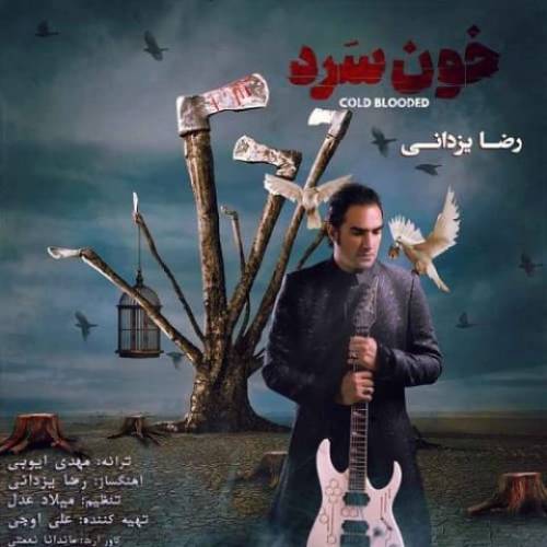 کاور آهنگ خون سرد از رضا یزدانی