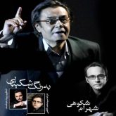 کاور آهنگ به رنگ شکیبایی از شهرام شکوهی