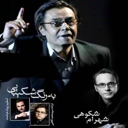کاور آهنگ به رنگ شکیبایی از شهرام شکوهی