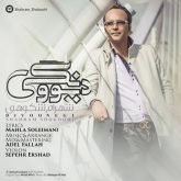 کاور آهنگ دیوونگی از شهرام شکوهی