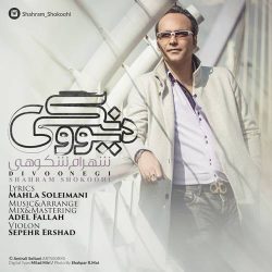 کاور آهنگ دیوونگی از شهرام شکوهی