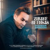 کاور آهنگ زیبای بی احساس از شهرام شکوهی