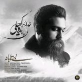 کاور آهنگ بی تابانه از علی زندوکیلی