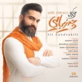 کاور آهنگ چه زیبایی از علی زندوکیلی