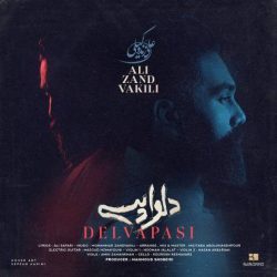 کاور آهنگ دلواپسی از علی زندوکیلی